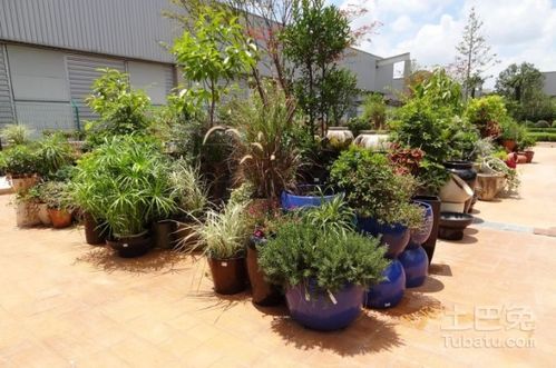 景觀花盆廠家盤點(diǎn)