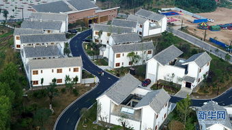 秦嶺深處的音樂小鎮(zhèn) 彩色花海中的景觀藝術(shù)交融